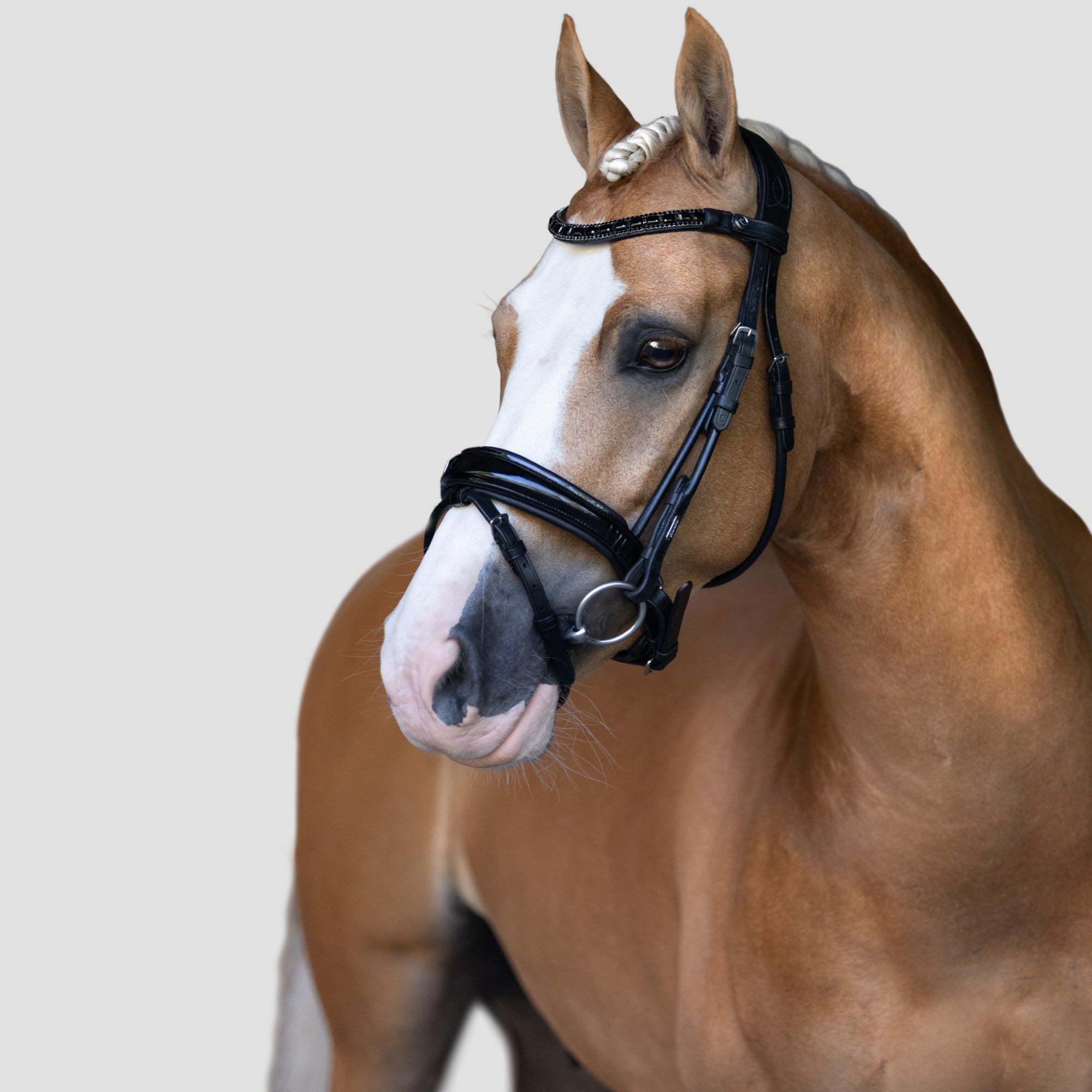 Audrey' Rolled Hanoverian Leather Bridle