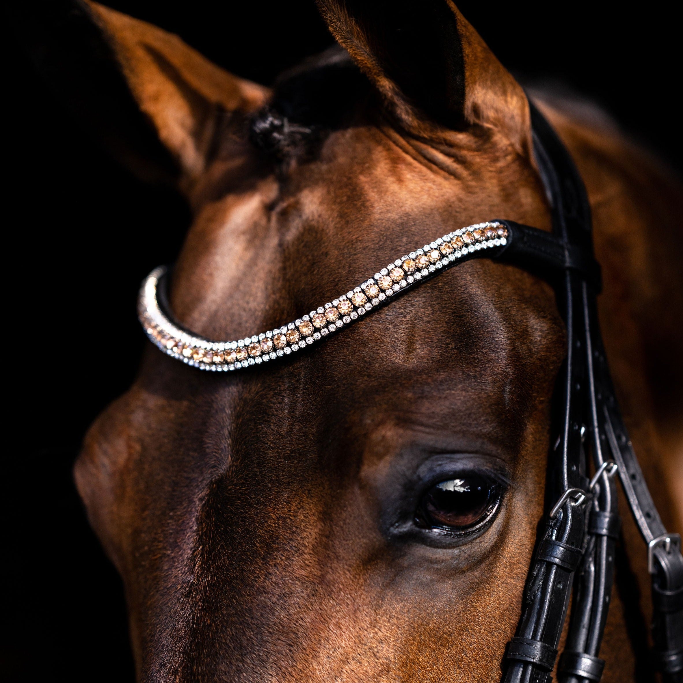 Champagne Crystal Browband