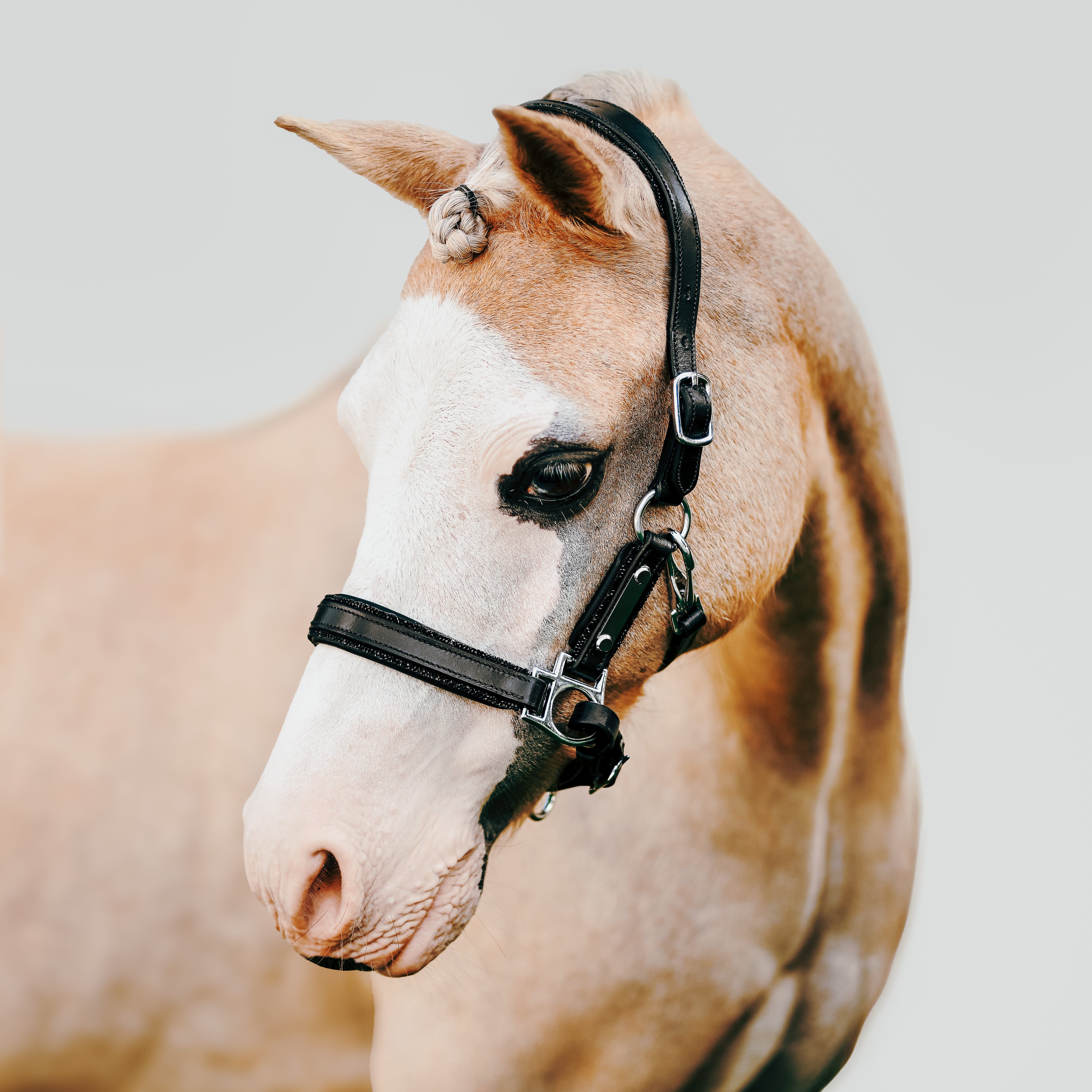 Vegas' Glitter Leather Halter