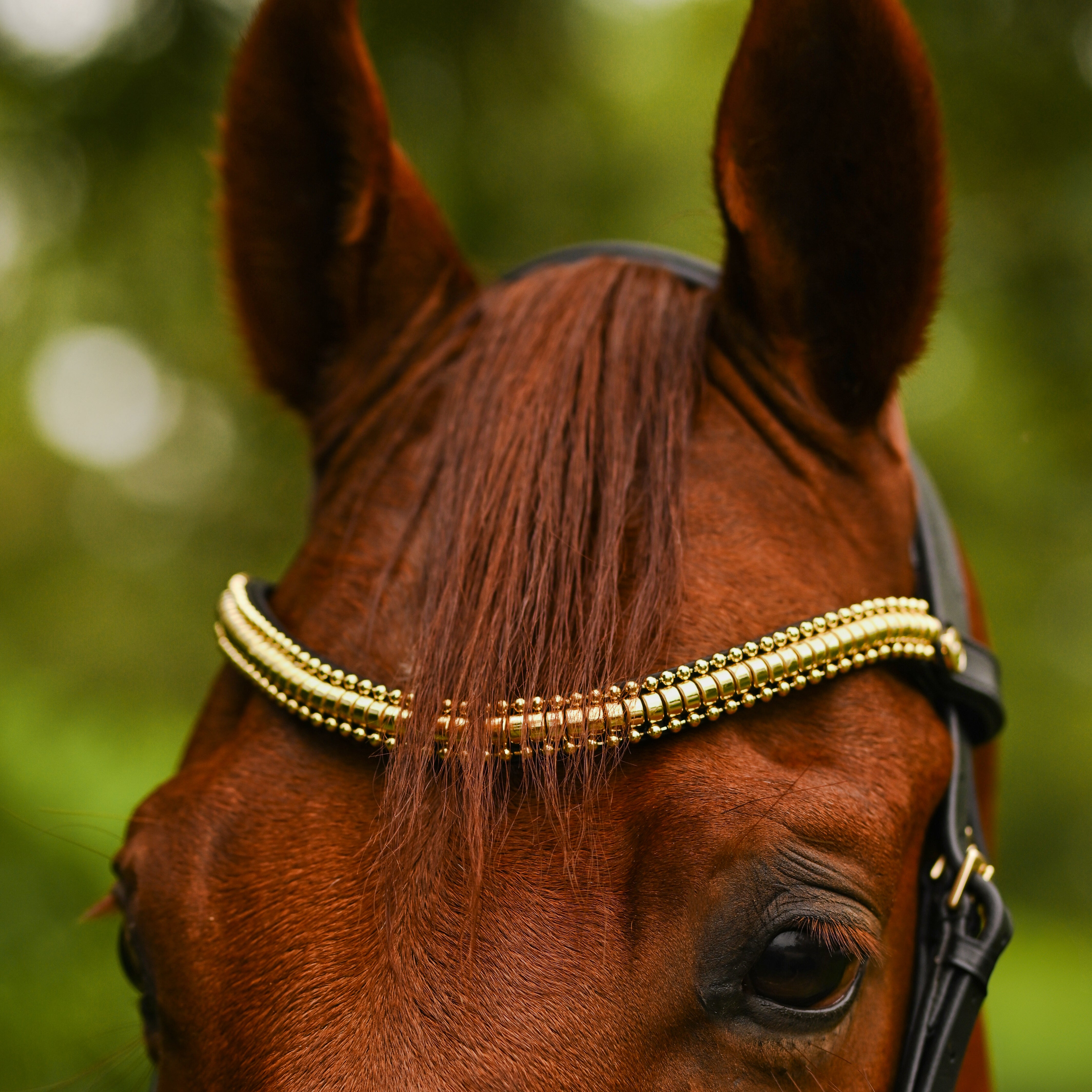 Delta Browband