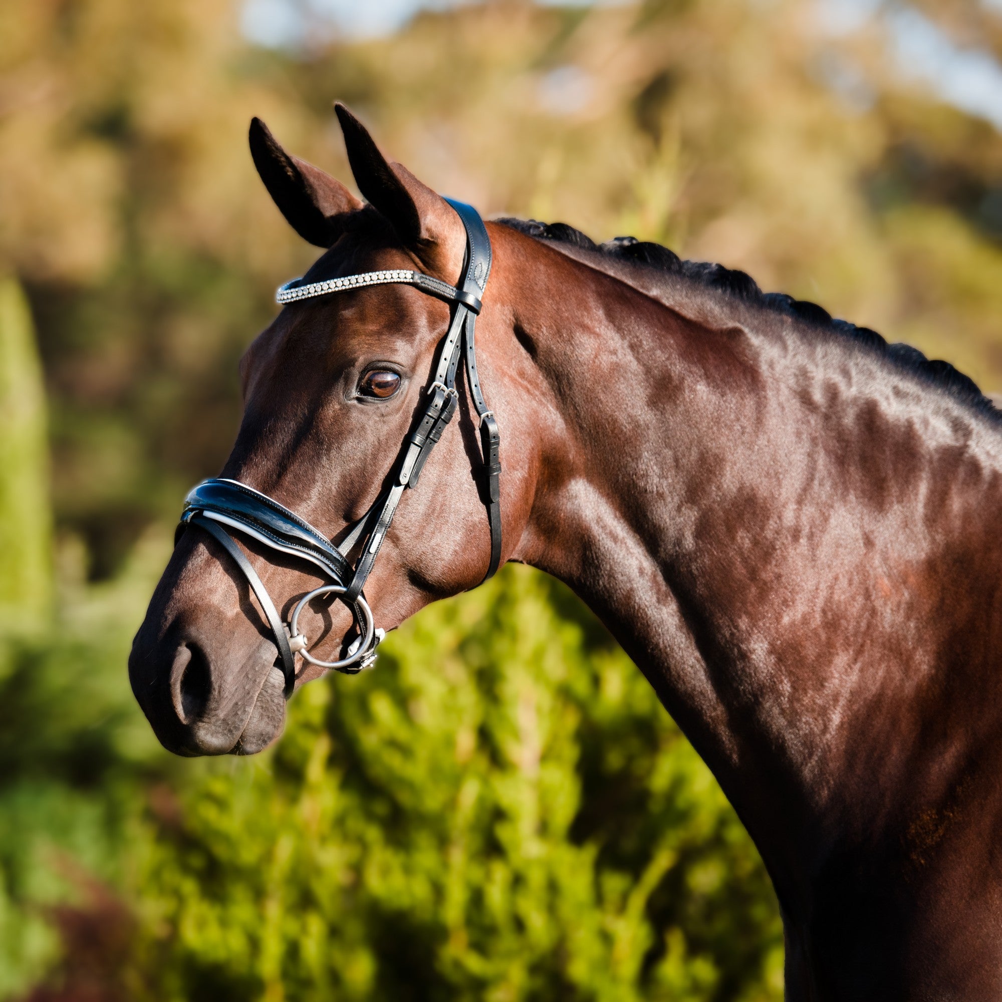 Adeline' Hanoverian Leather Bridle