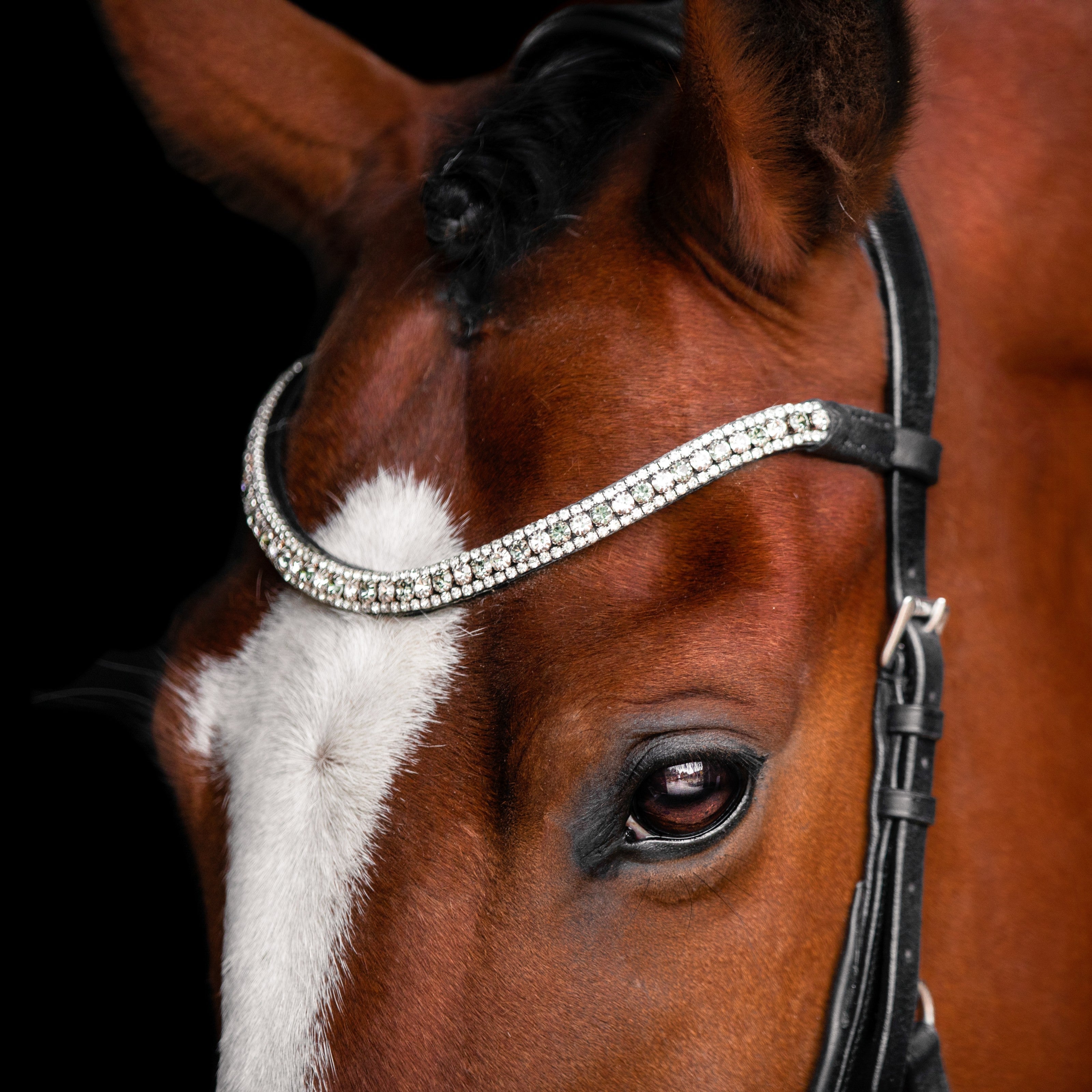 Silver Crystal Browband