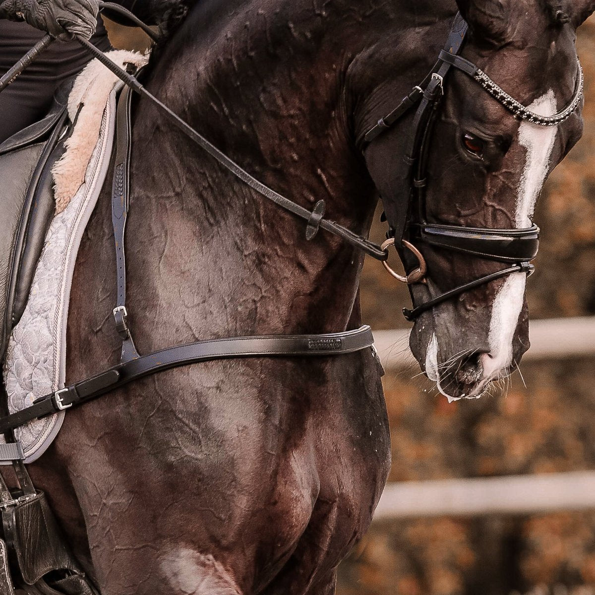 Alicia' Leather Dressage Breastplate