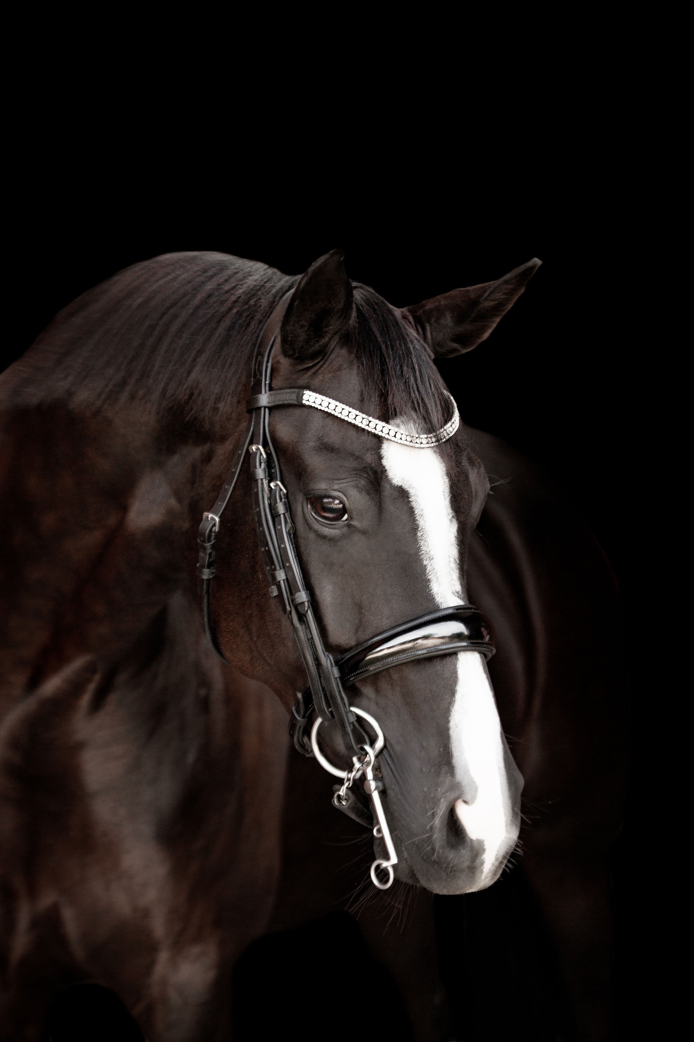 Amie' Luxury Leather Double Bridle
