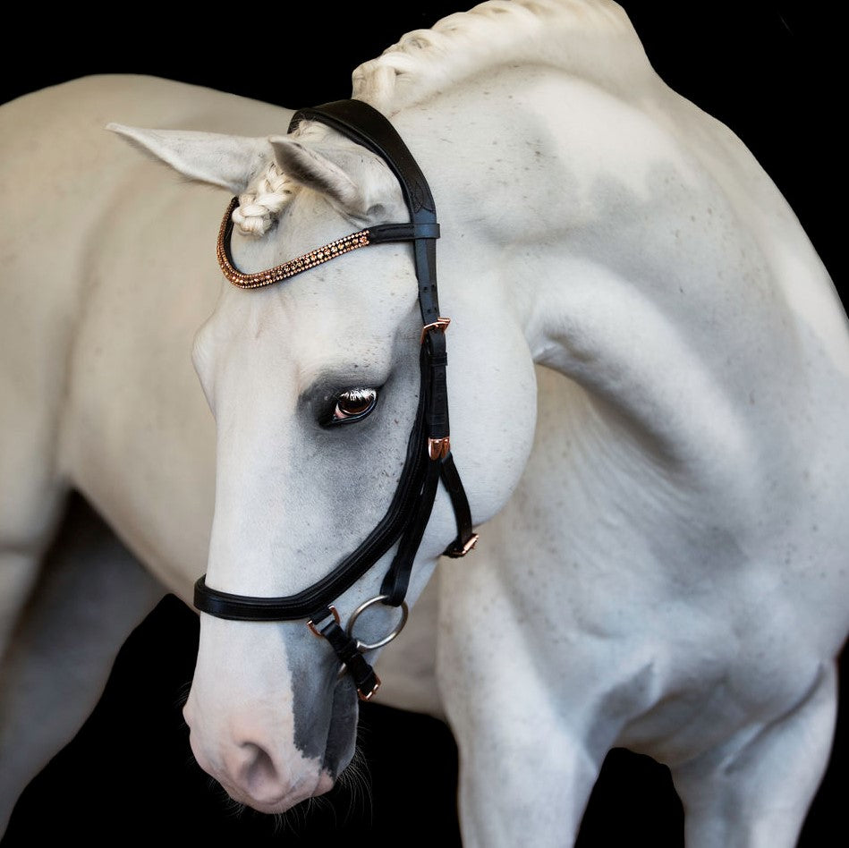 Aria' Anatomic Leather Bridle Euro