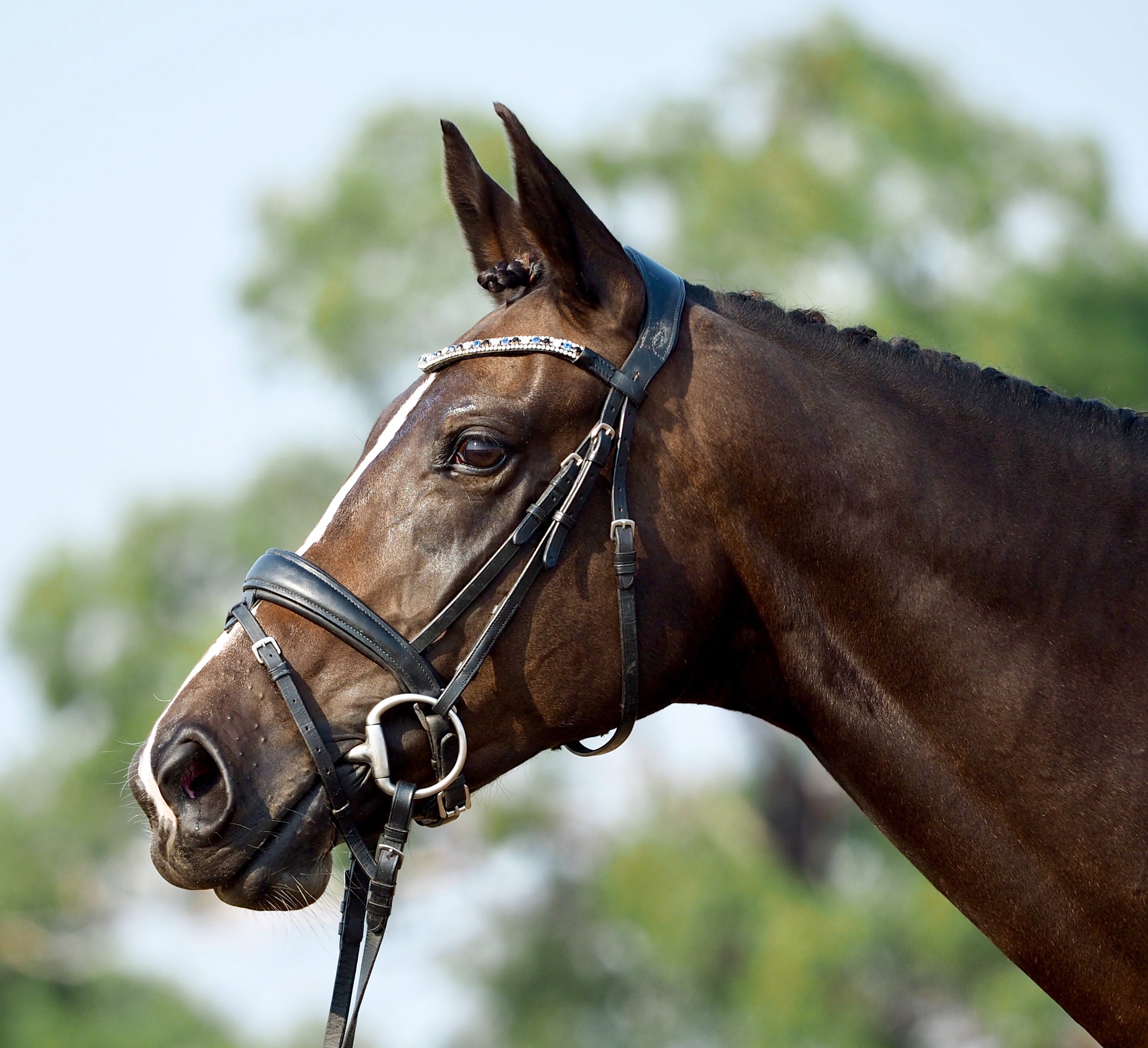 Anastasia Convertible Leather Bridle