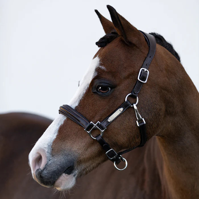 Alize' Pony Leather Halter