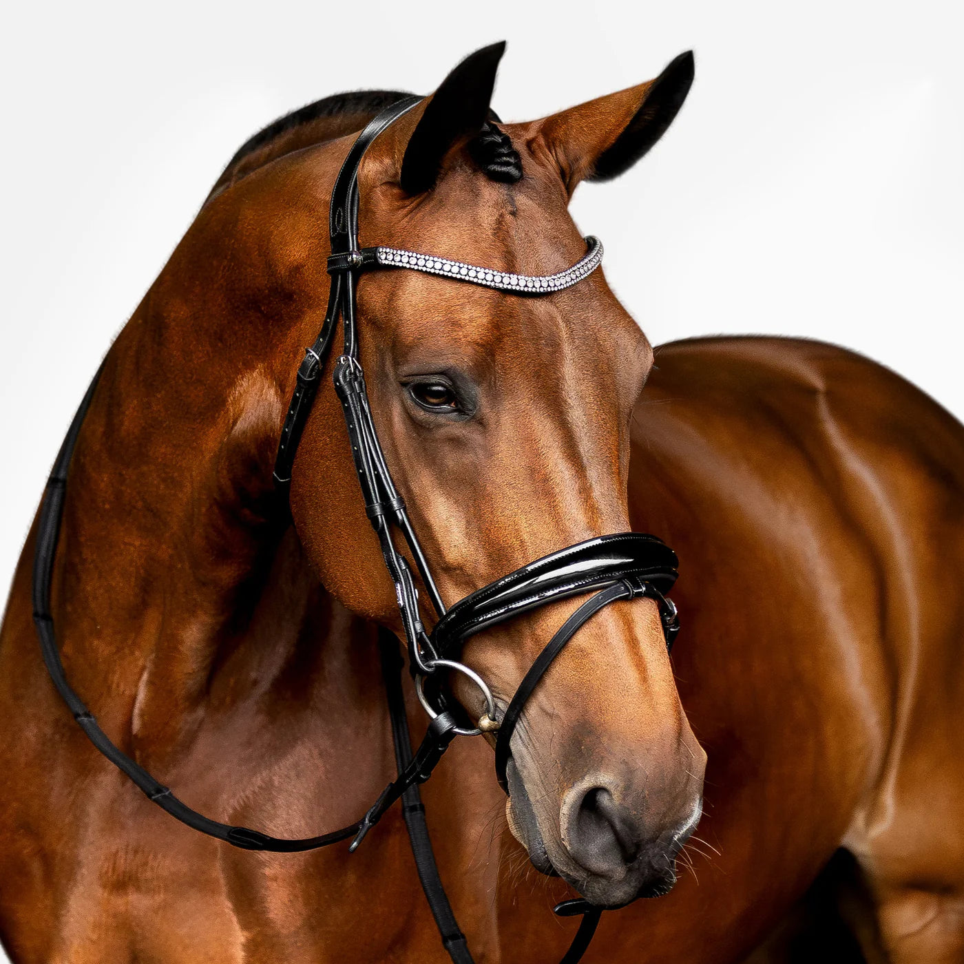 Amie' Flat Hanoverian Leather Bridle