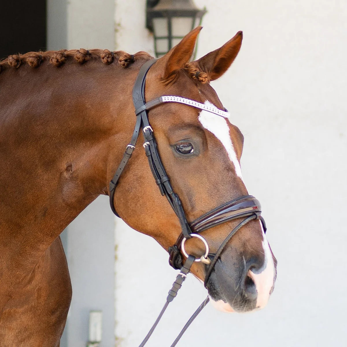 Amie' Rolled Hanoverian Leather Bridle