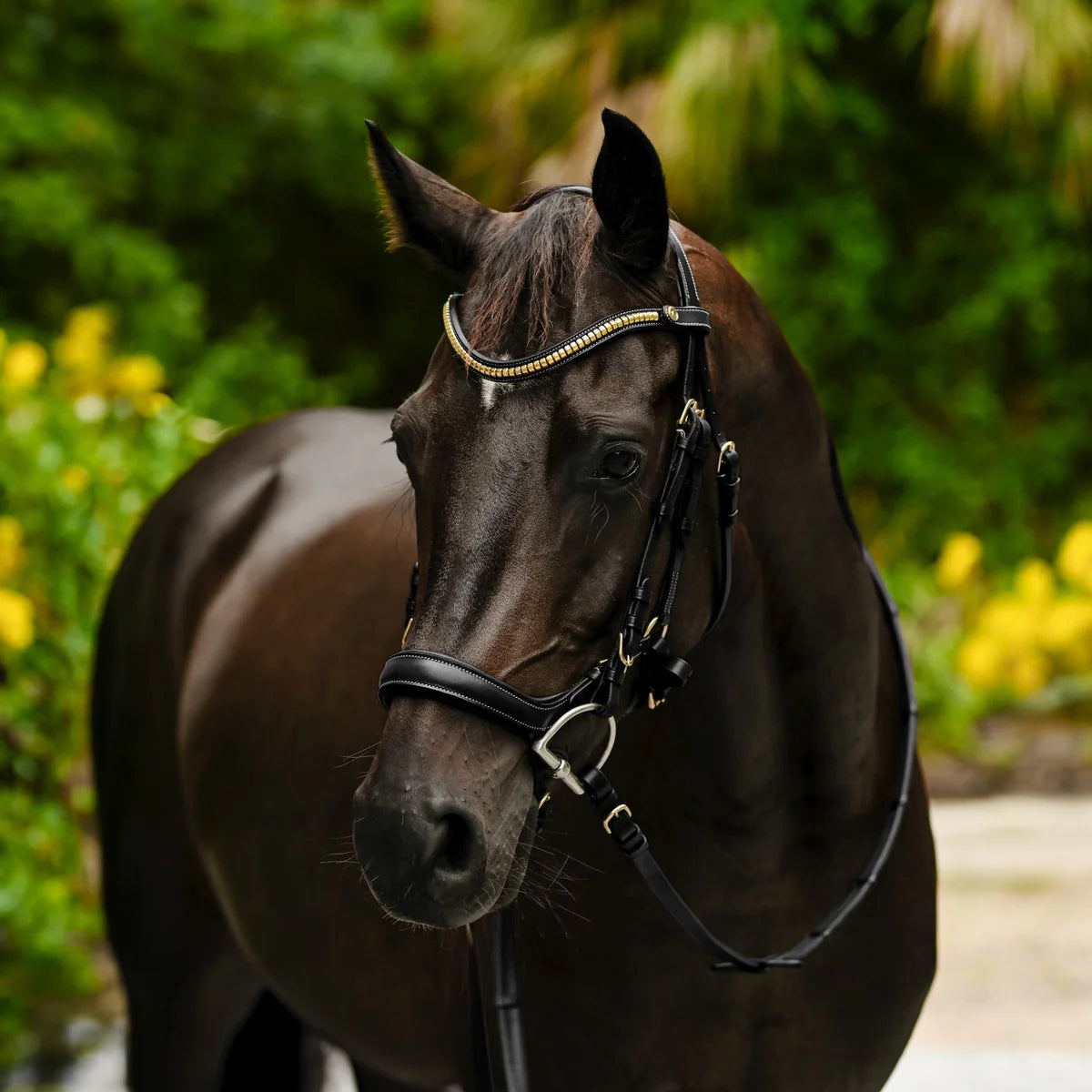 Dallas Leather Bridle
