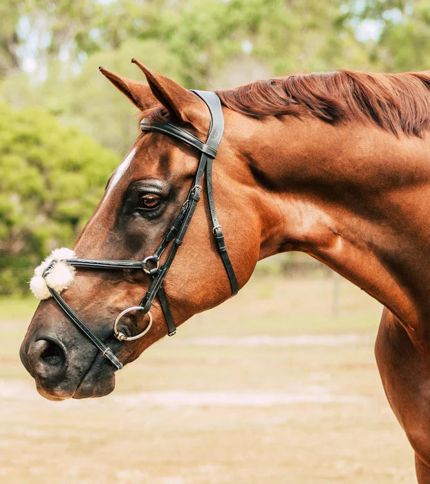 Grackle Sheepskin Noseband