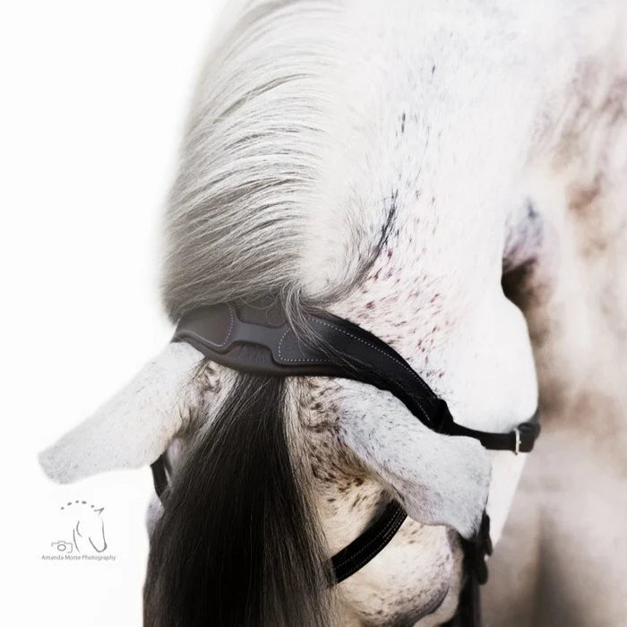 Anatomic Monocrown Headpiece | Nappa Padding