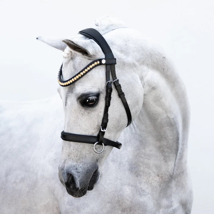 Iddy Bitty Bitless Pony Bridle