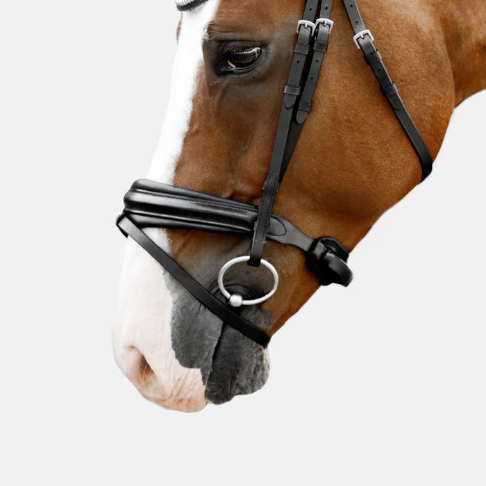 Melodie Matte Noseband | Hanoverian