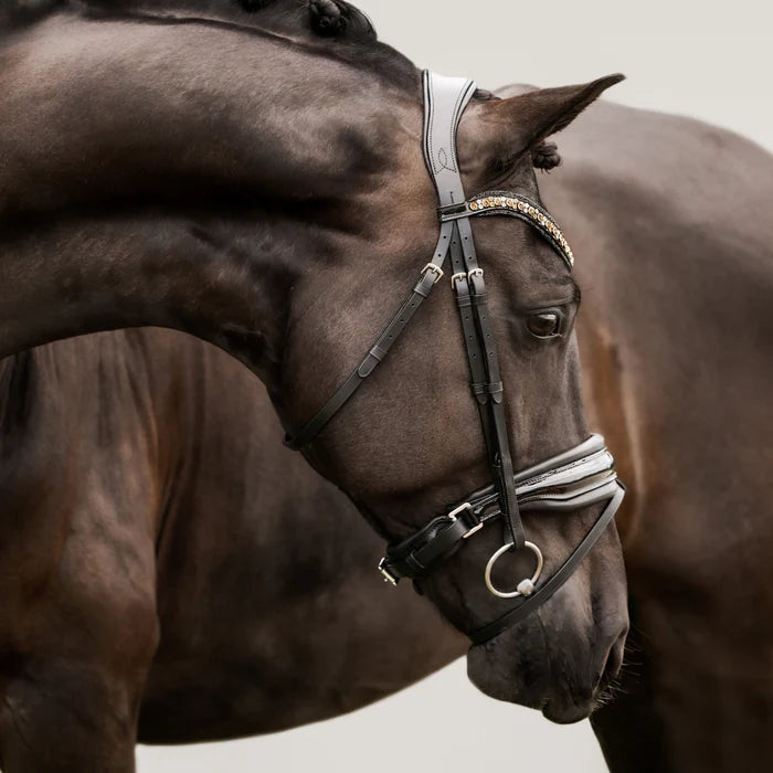 Ariana Noseband | Hanoverian
