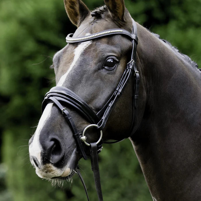 Melodie Patent Noseband | Hanoverian