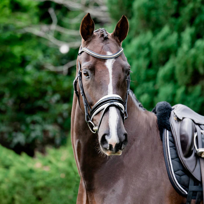 Melodie Patent White Padded Noseband | Hanoverian