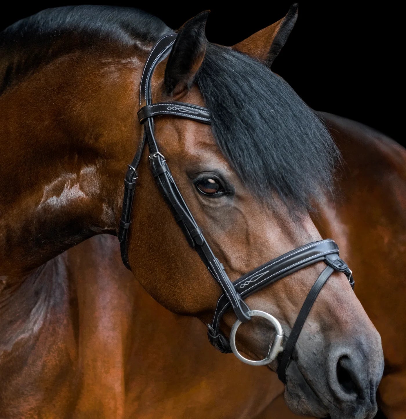 Milan' Convertible Leather Bridle