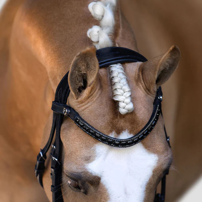 Onyx Crystal Browband