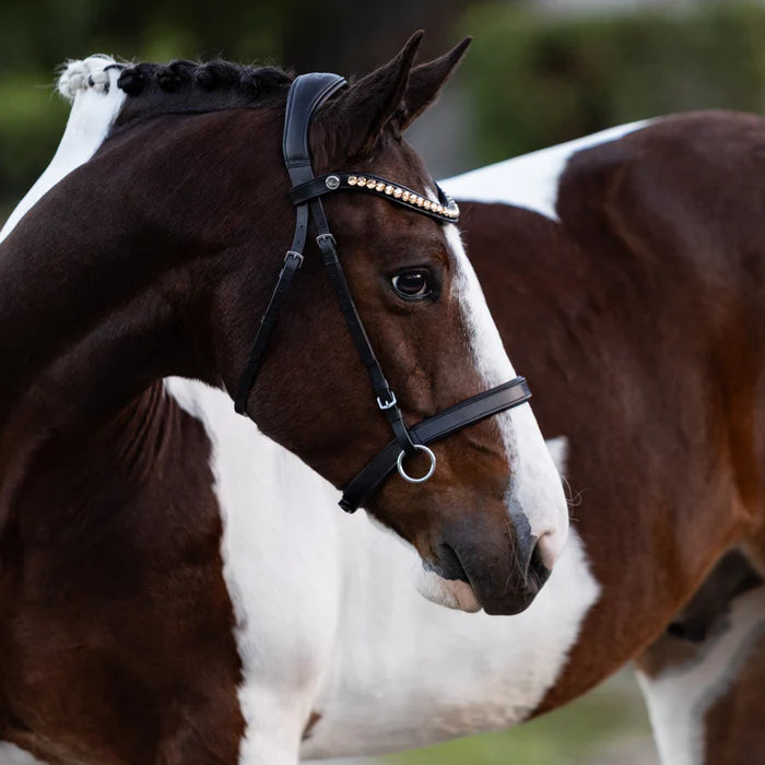 Seline Bitless Bridle