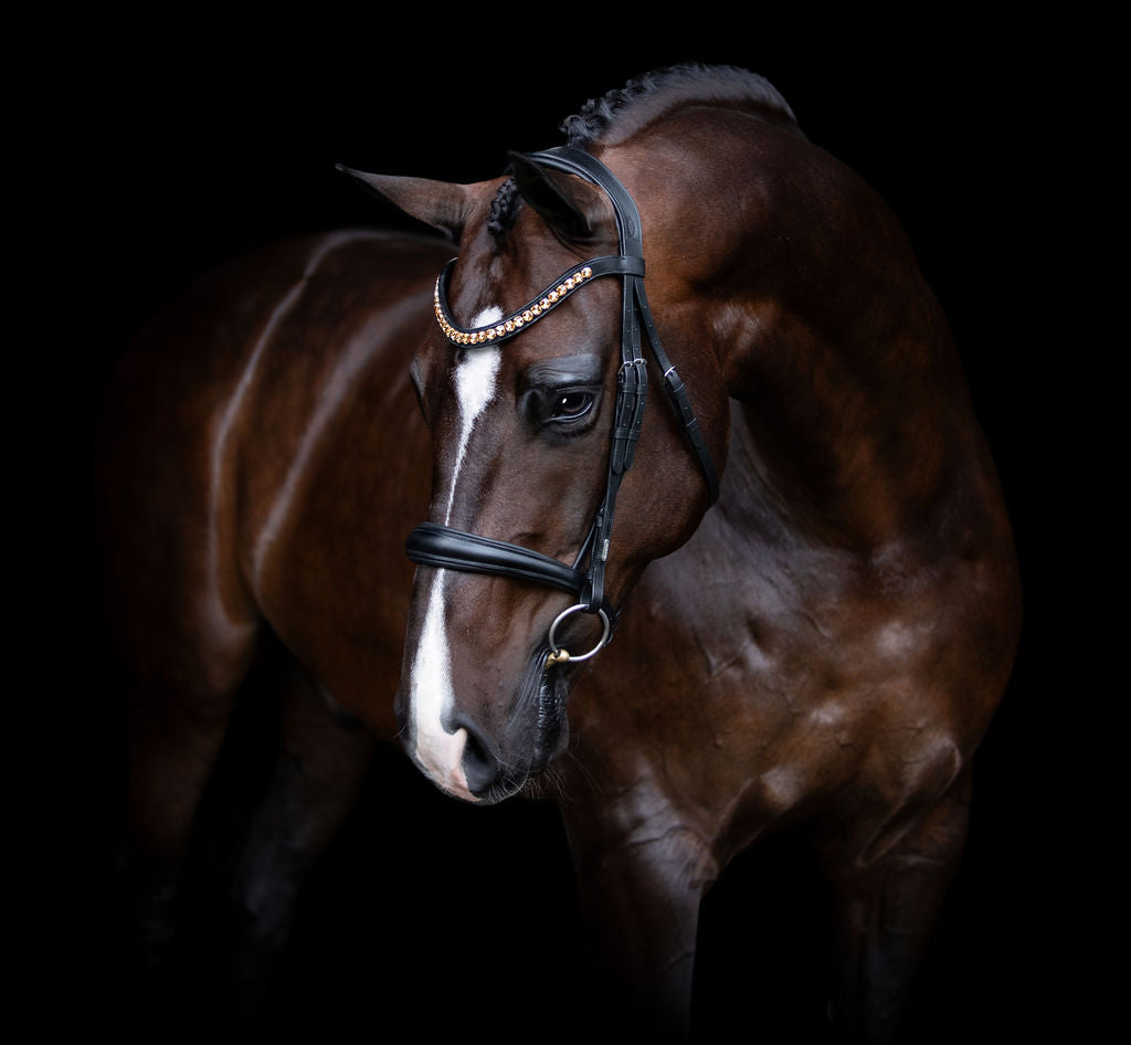 Athens' Luxury Double Bridle