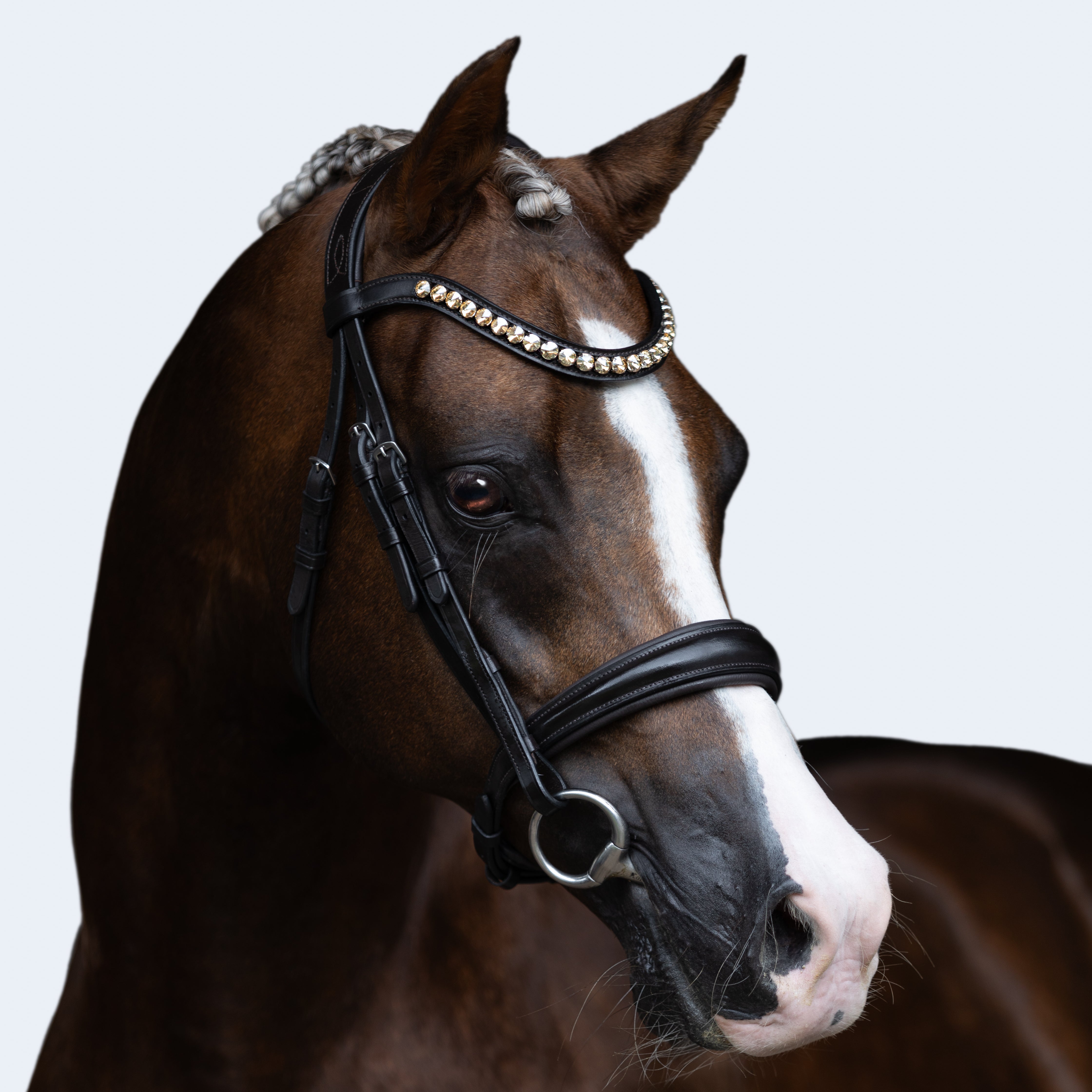 Athens' Snaffle Leather Pony Bridle