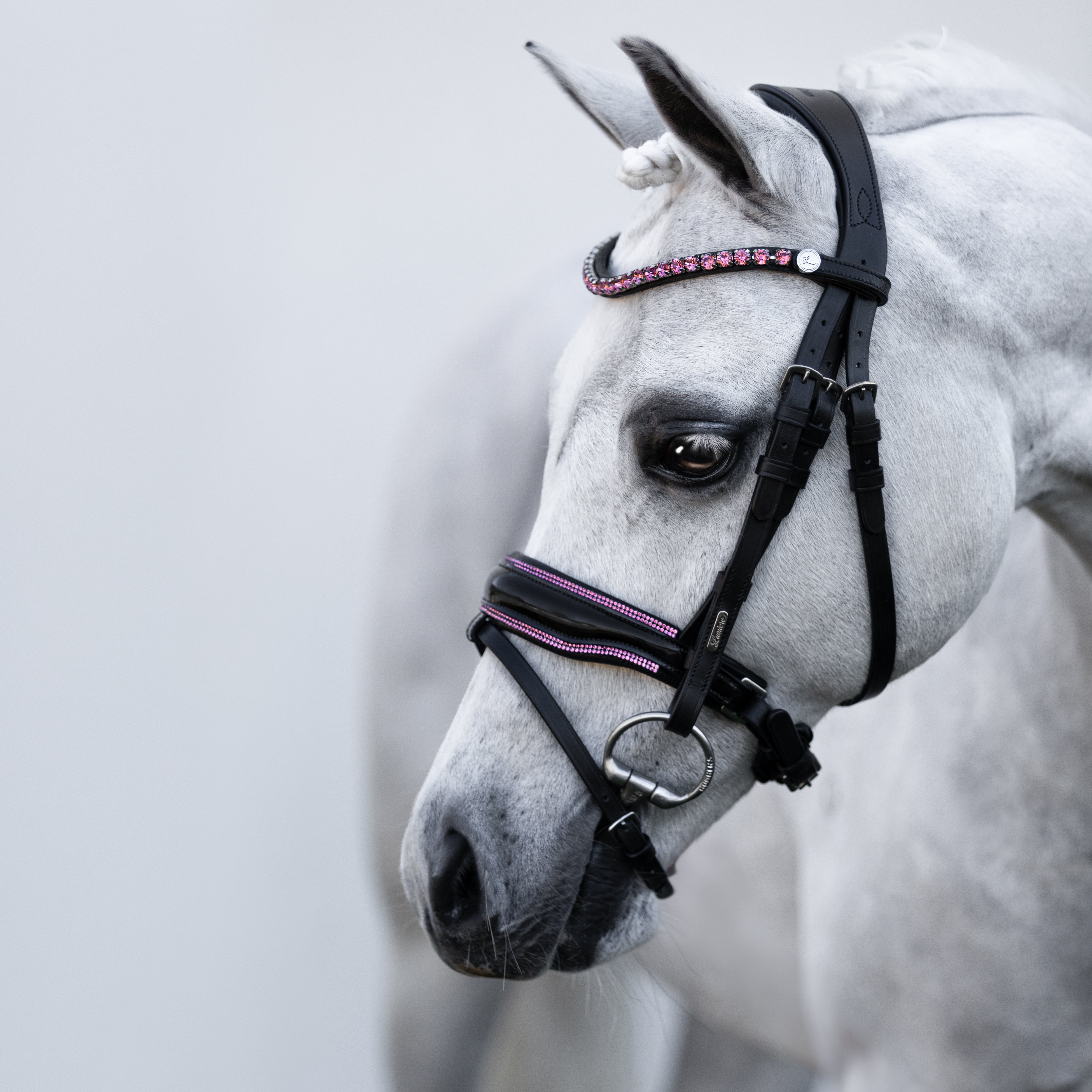 Fairyfloss Bridle