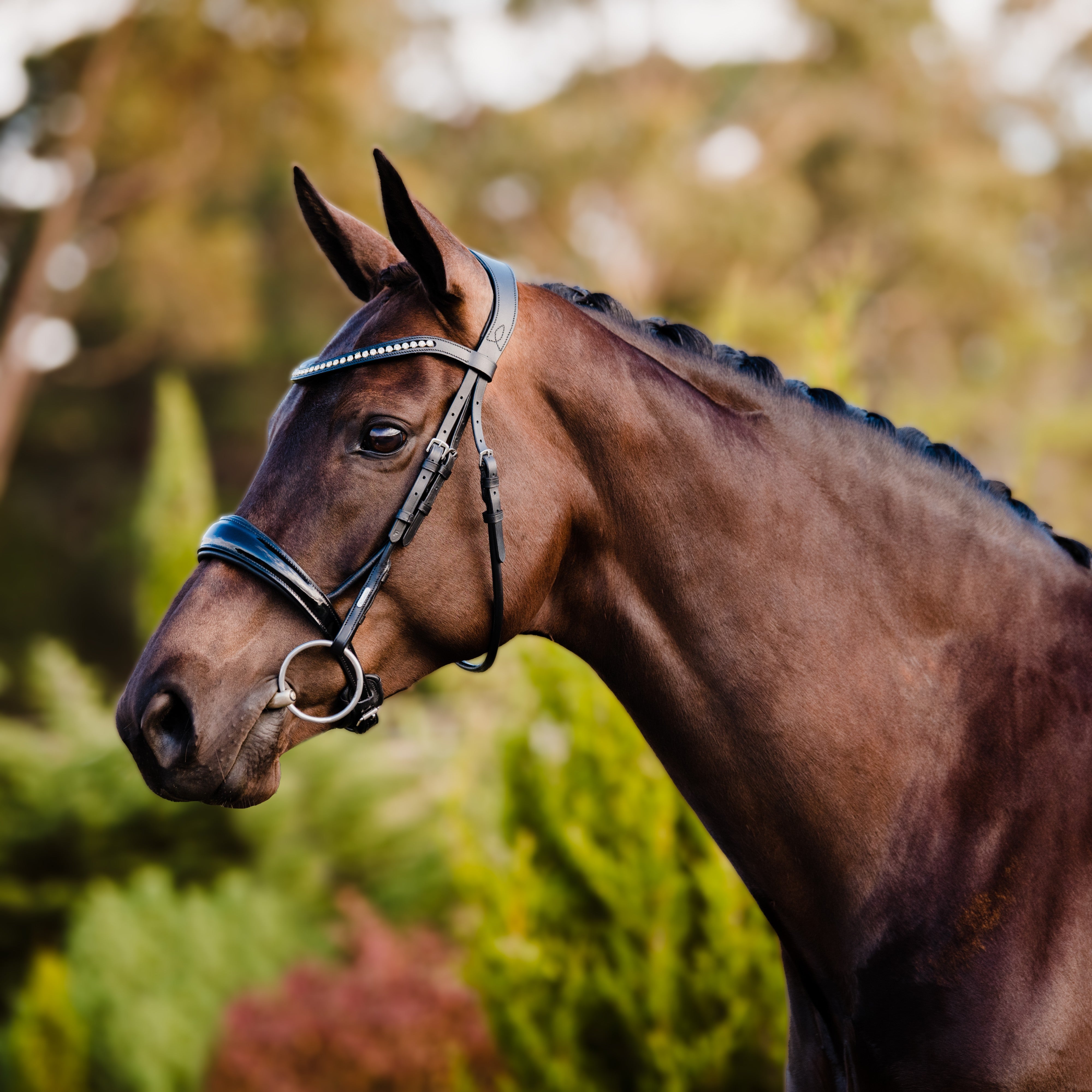Aurelie' Cavesson Flat Leather Bridle