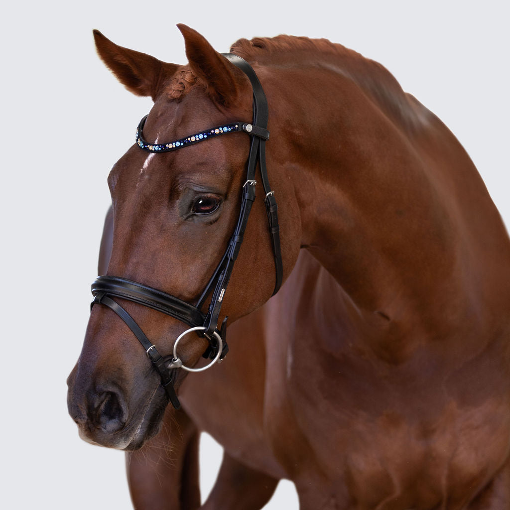 Demi Bridle