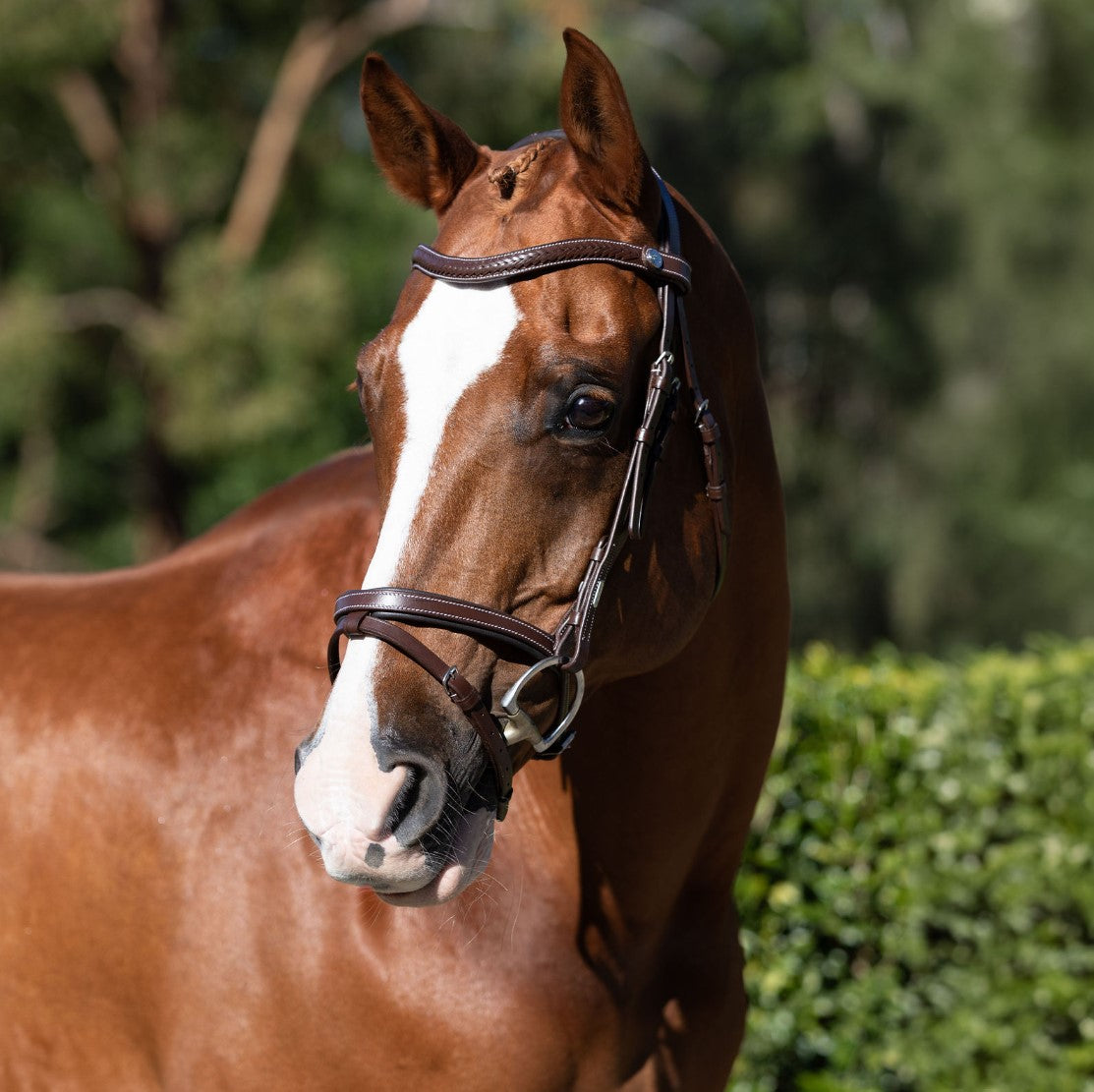 Delaney Leather Bridle