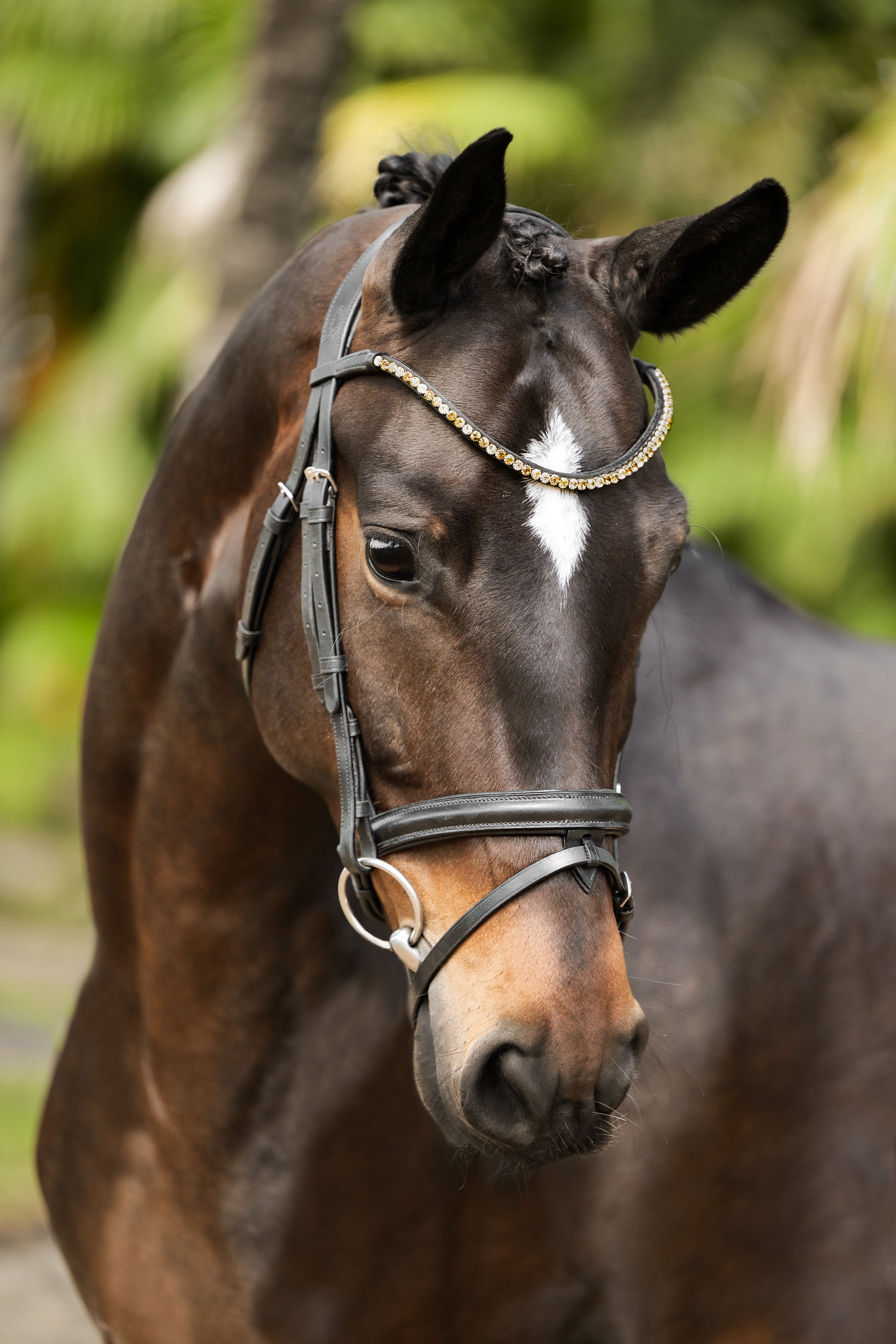 Megan Convertible Leather Bridle