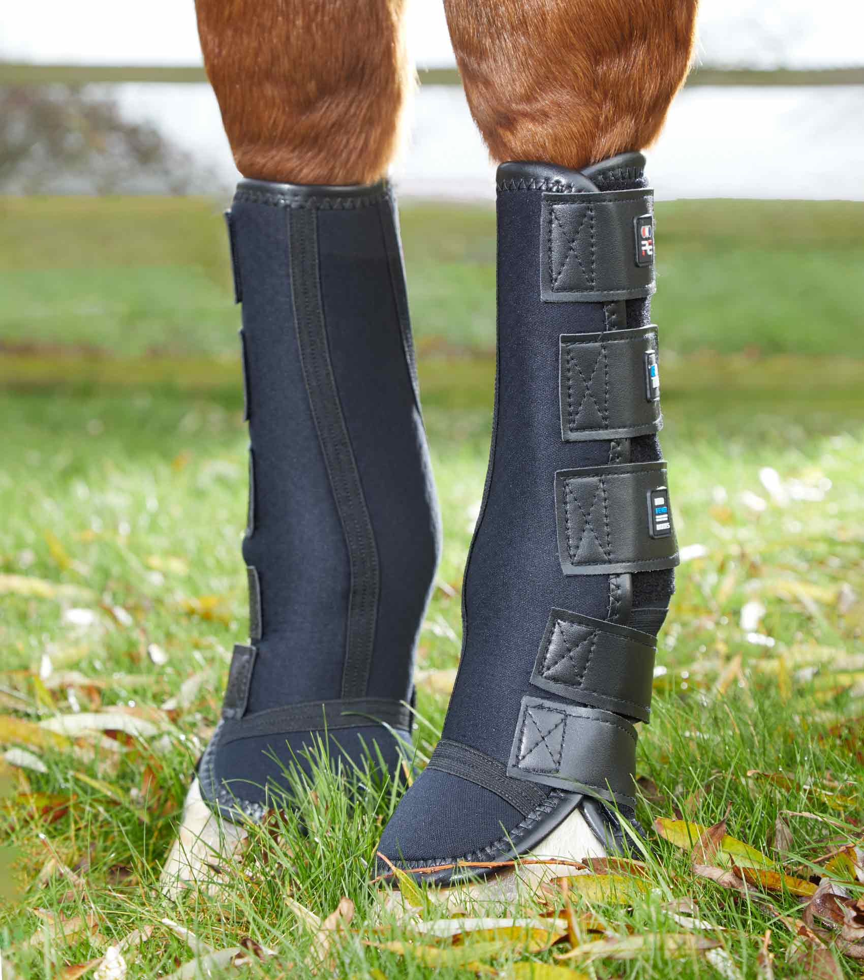Turnout | Mud Fever Boots