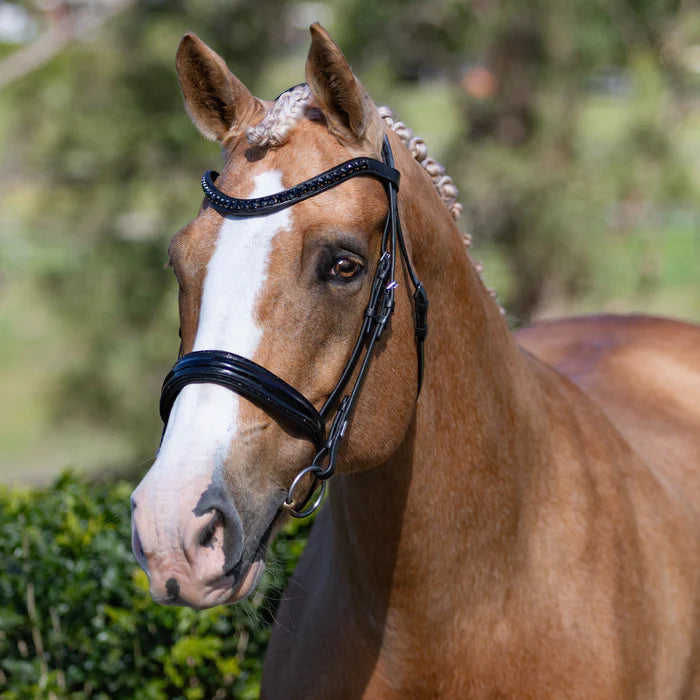 Arcadia' Cavesson Luxury Leather Bridle