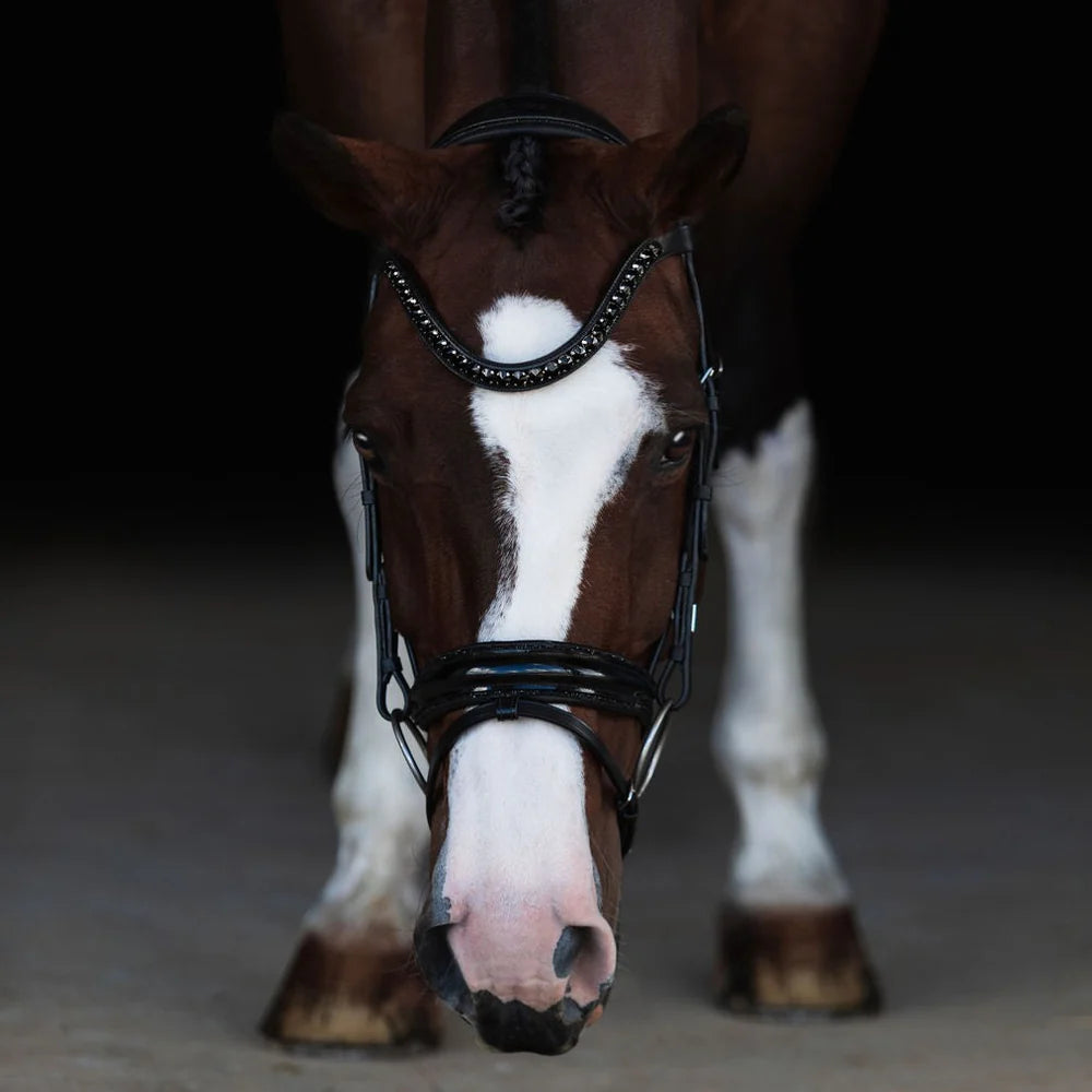 Arcadia' Hanoverian Luxury Leather Bridle