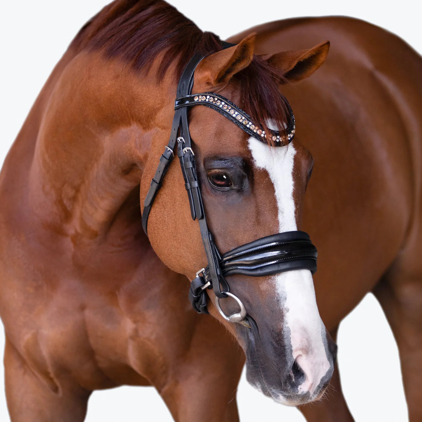 Ariana' Cavesson Bridle
