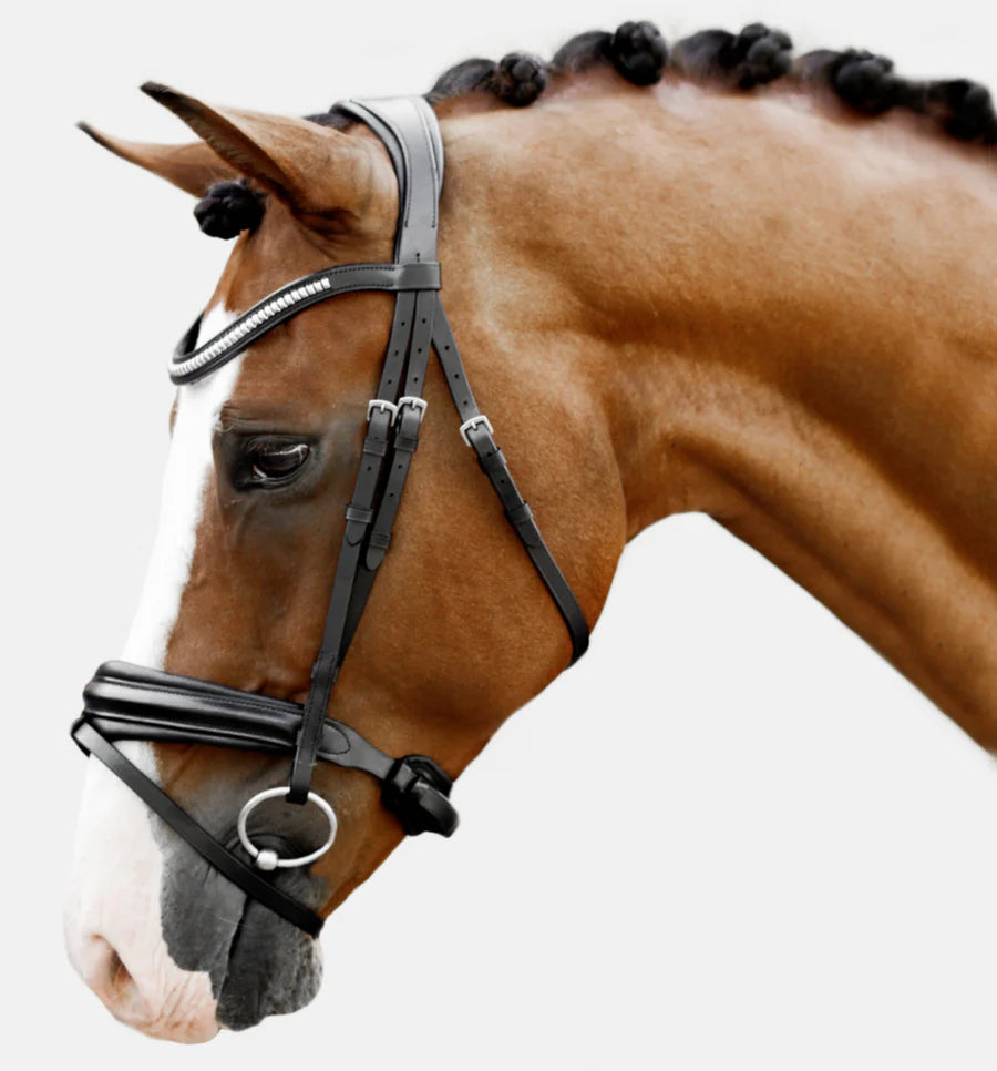 Melodie' Classic Bridle