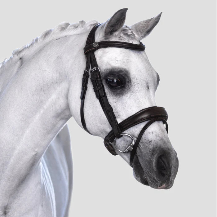 Mikayla' Leather Convertible Pony Bridle