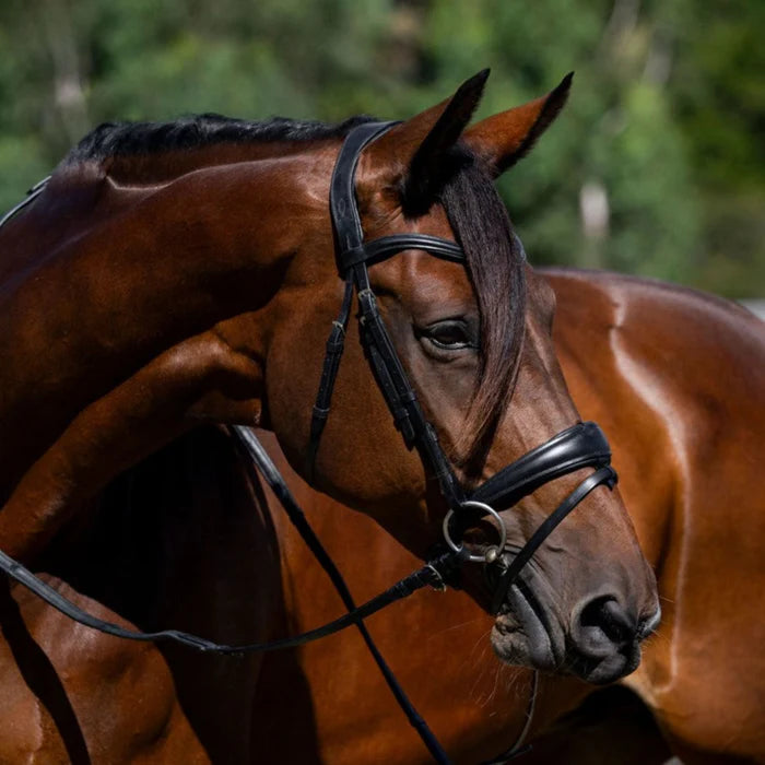 Mikayla' Convertible Leather Bridle