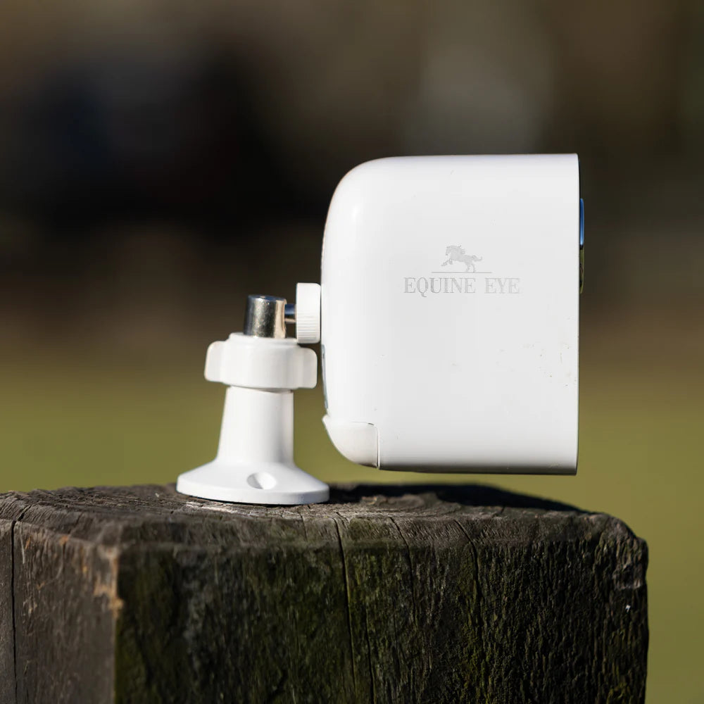 Equine Eye Vision - Additional Mount